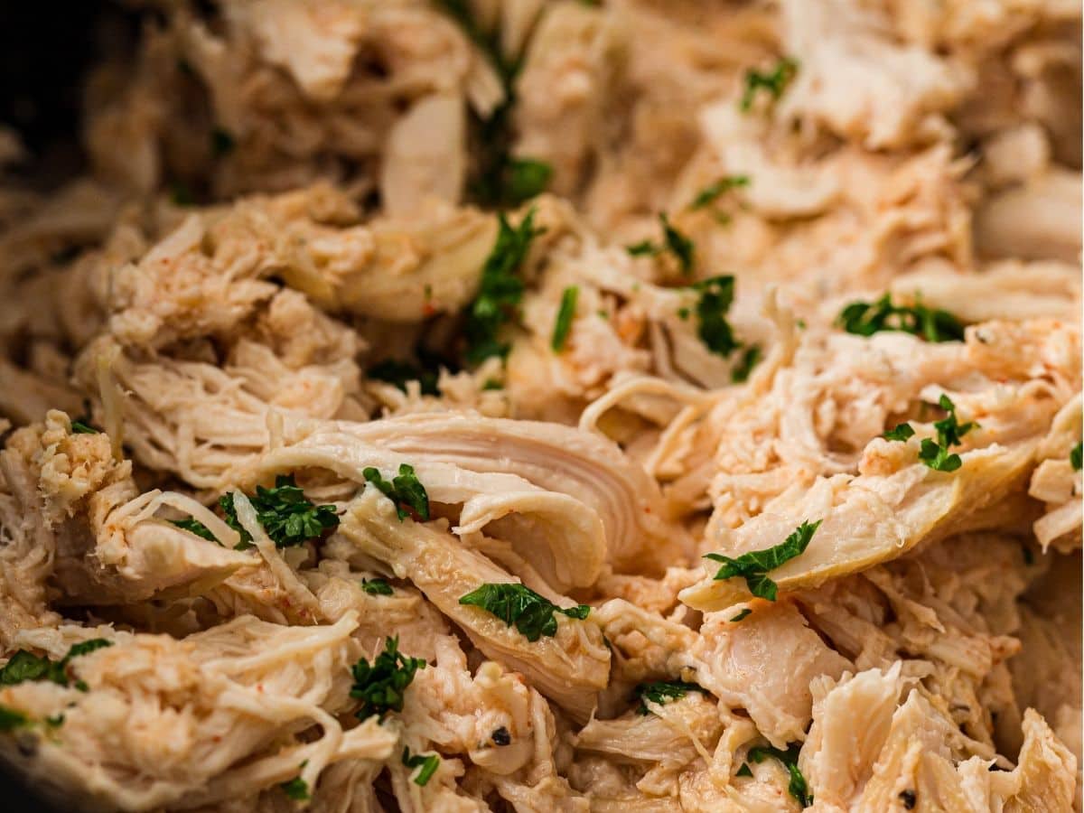 Juicy Crockpot shredded chicken with herbs