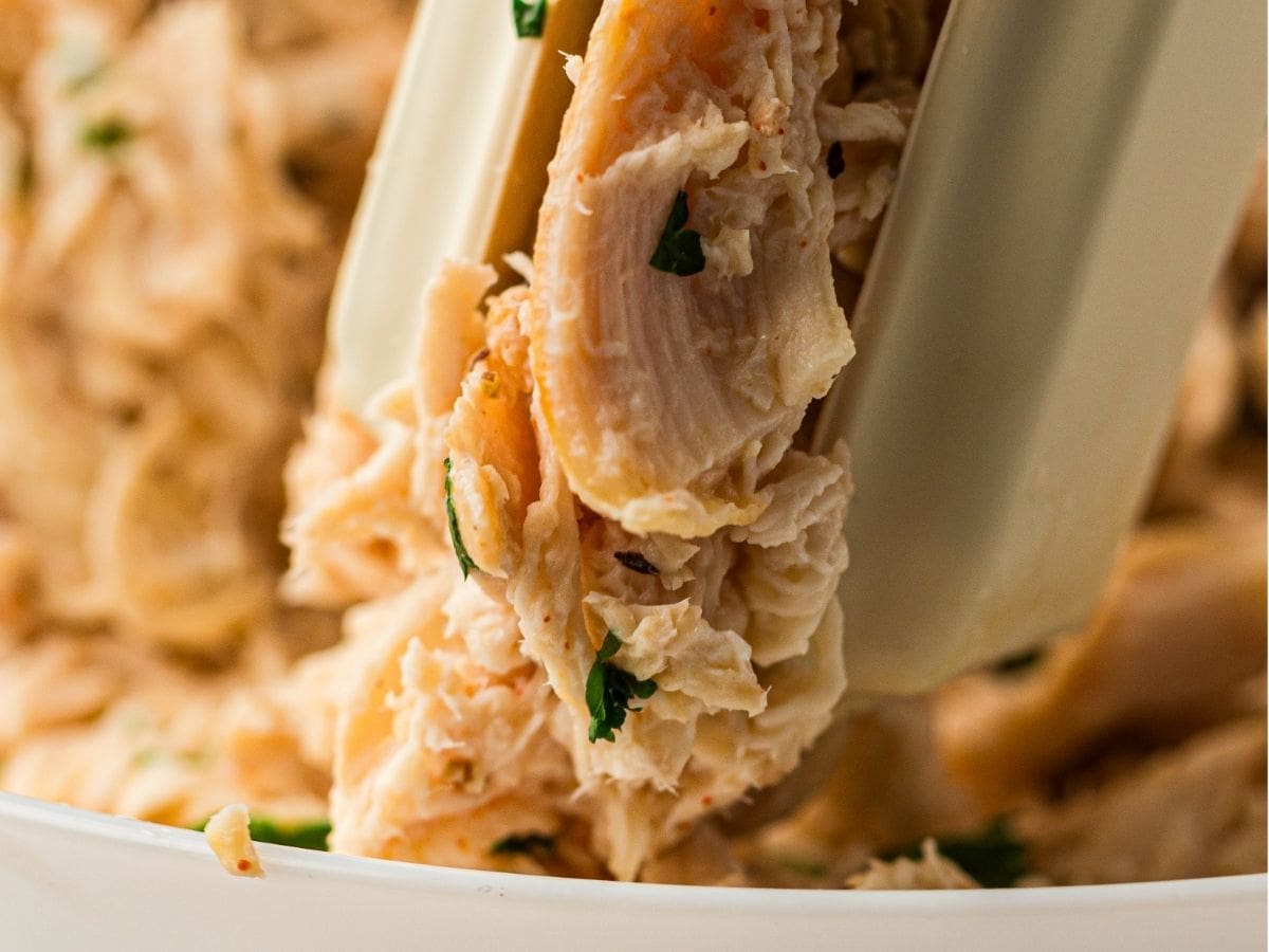 Shredded chicken for easy weeknight meals