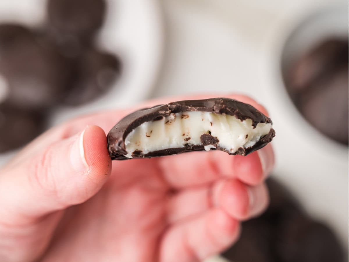 Creamy mint chocolate patties