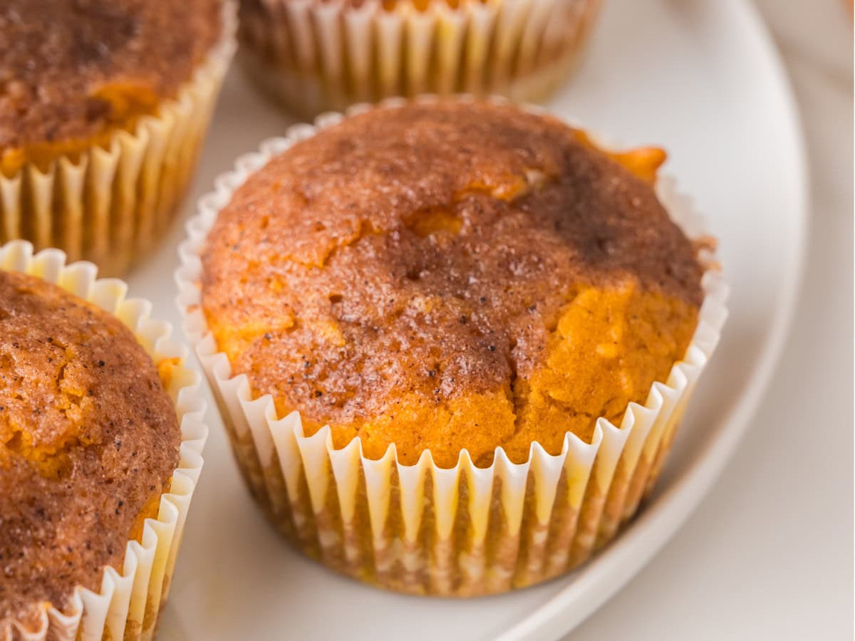 Moist pumpkin cream cheese muffins