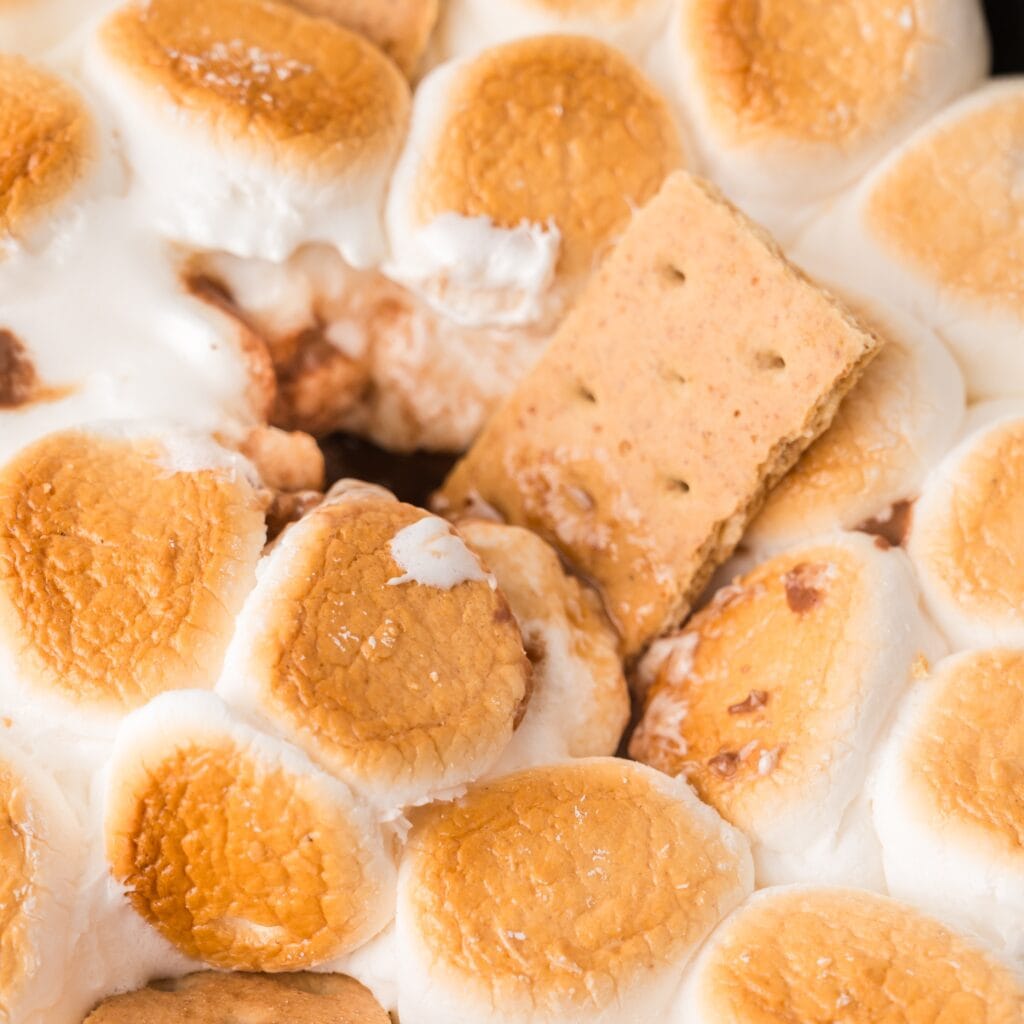Reese's s'mores dip close-up