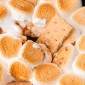 Reese’s s’mores dip close-up