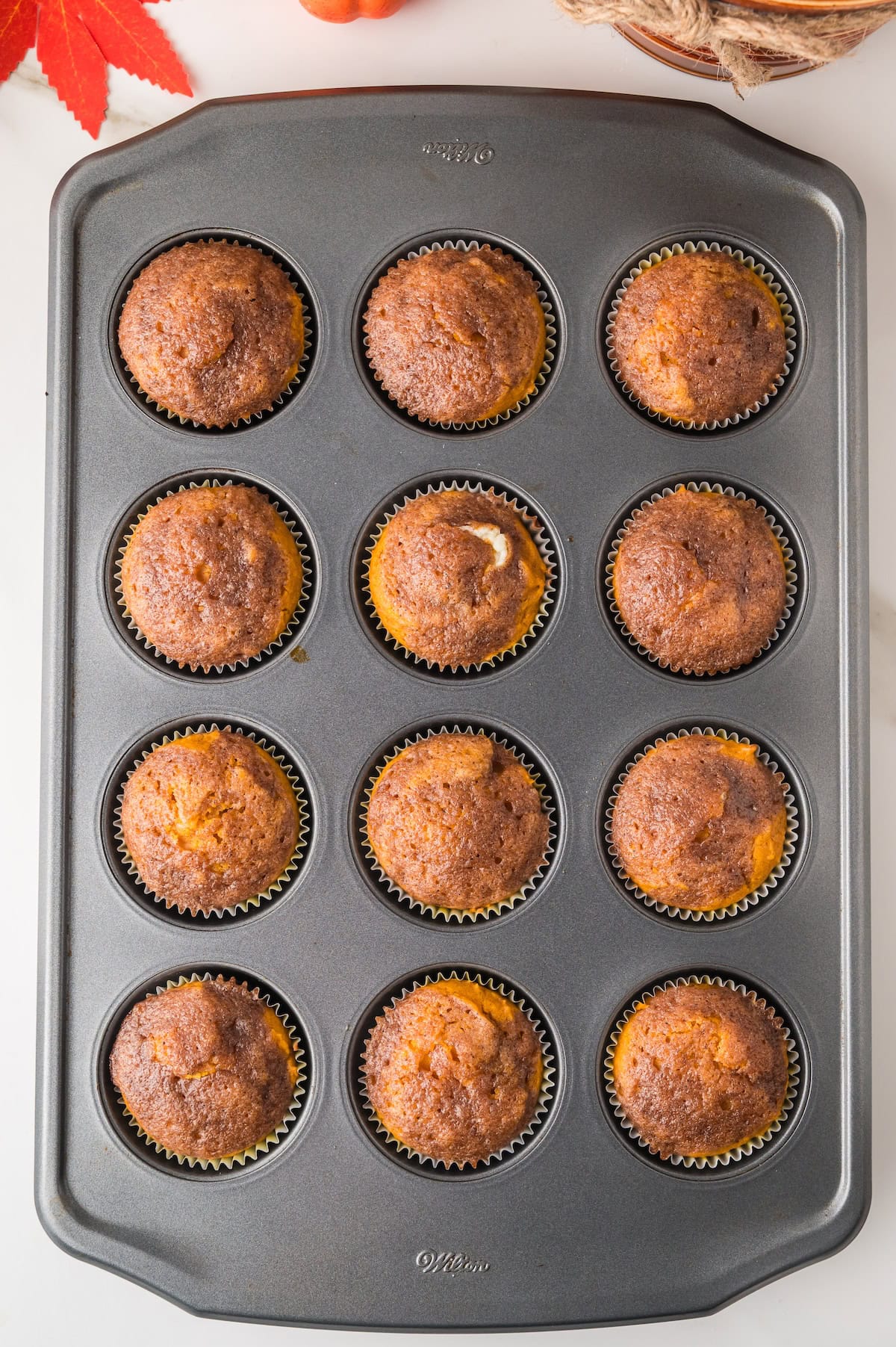 pumpkin cream cheese muffins just baked out of the oven in a muffin pan