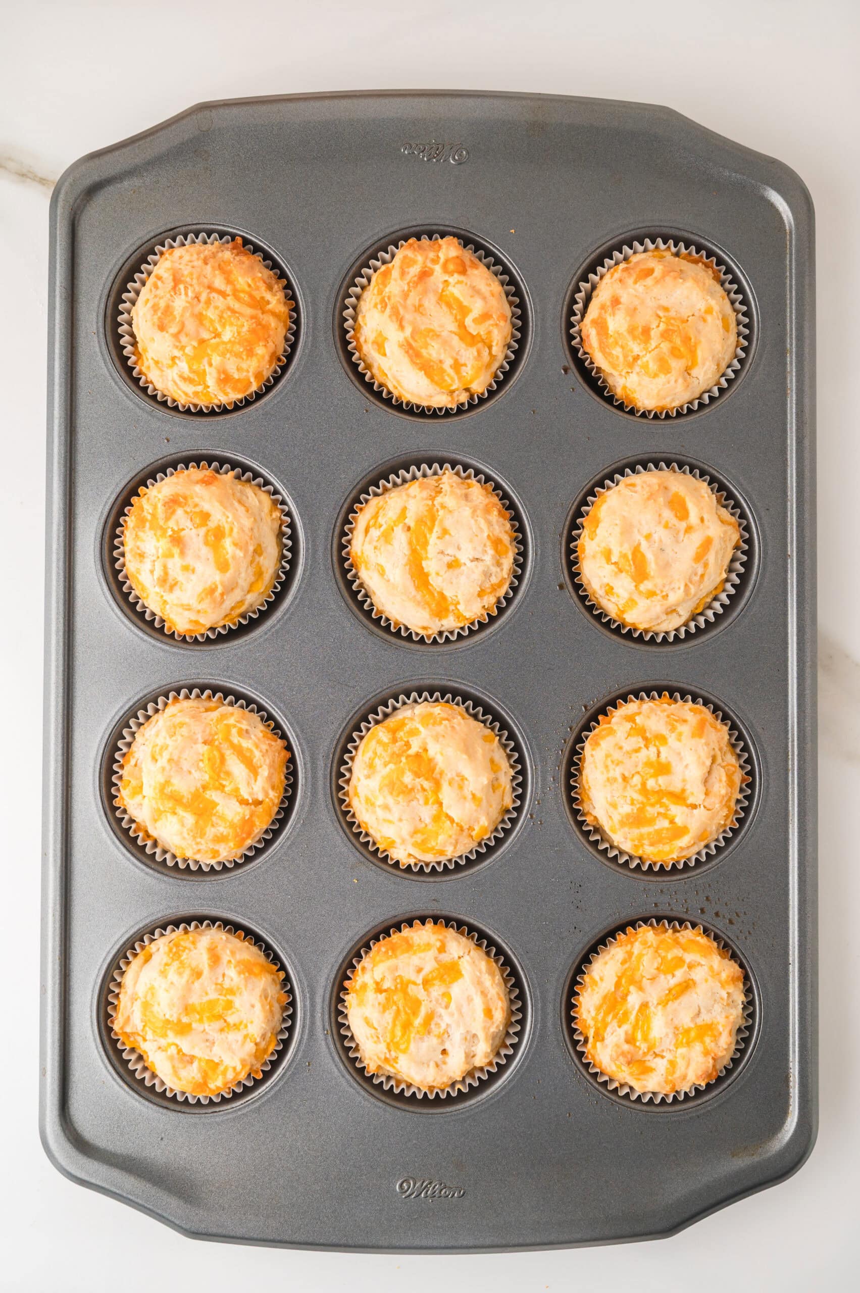 Freshly baked cheddar cheese muffins with golden tops